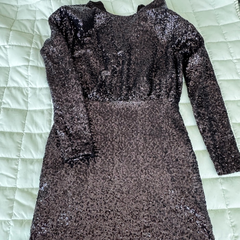 Express purple Sequin dress